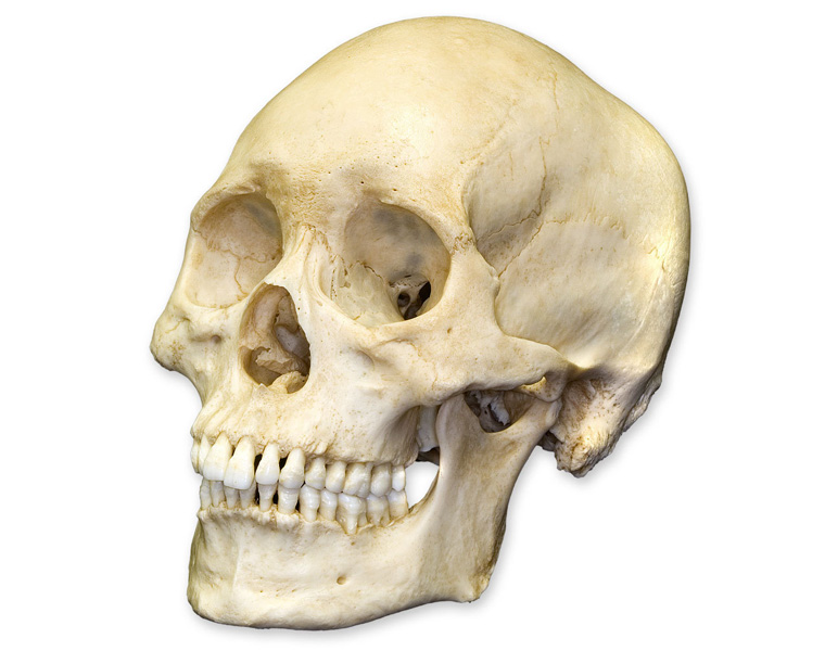 Dr Ashwin Kassan, Facial Reconstruction, Maxillo-facial and Oral Surgeon